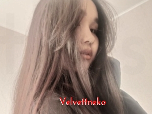 Velvettneko