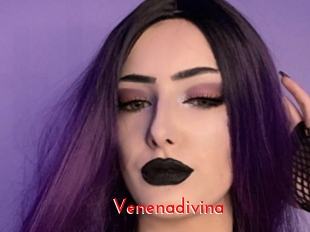 Venenadivina