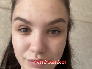 Vernitaasnicar