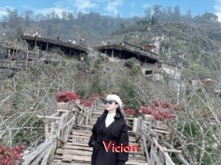 Vicion