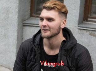 Vikingrub