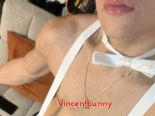 Vincentbunny