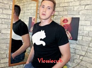Vlossiecub