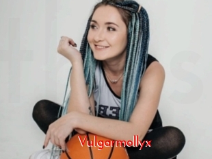 Vulgarmollyx