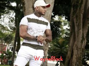 WayneBlack
