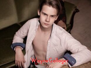 WayneGallager