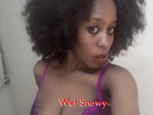 Wet_Snowy