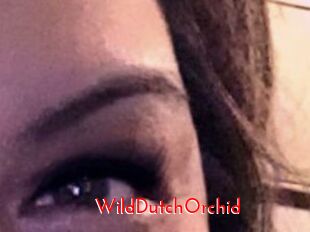 WildDutchOrchid