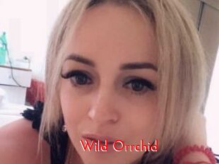 Wild_Orrchid