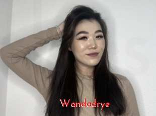 Wandadrye