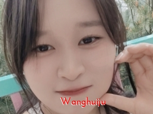 wanghuiju The Sex