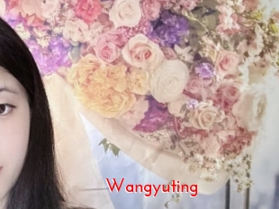 Wangyuting