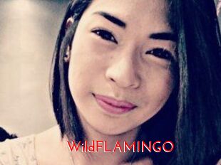 WildFLAMINGO