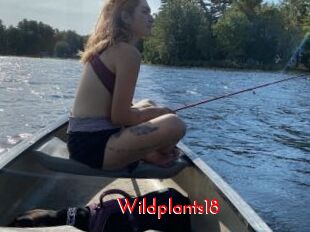 Wildplants18