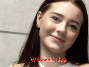 Wilonealdridge