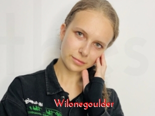 Wilonegoulder