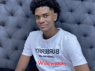 Wilowsacks