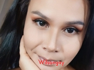 Wilsongay