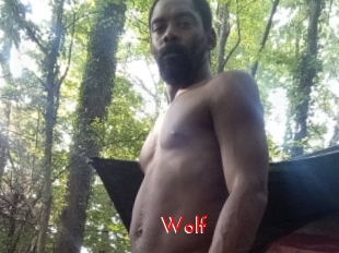 Wolf