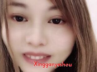 Xingganyeshou