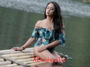 XZendayaTsx