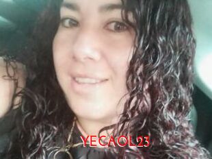 YECAOL23