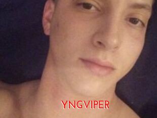 YNGVIPER
