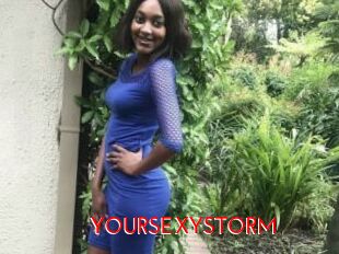 YOURSEXYSTORM