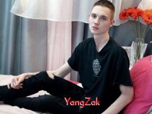 YangZak
