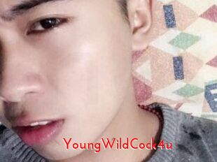 YoungWildCock4u