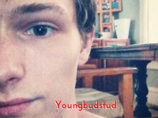 Youngbudstud