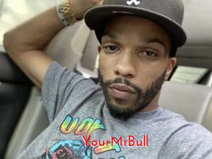 YourMrBull