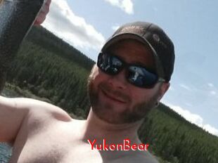 YukonBear
