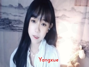 Yangxue