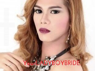 YourLADYBOYBRIDE