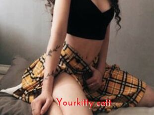 Yourkitty_catt