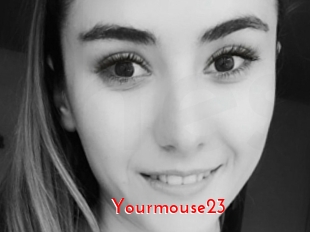 Yourmouse23
