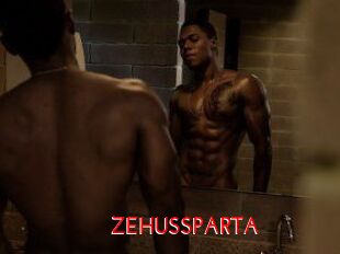 ZEHUS_SPARTA