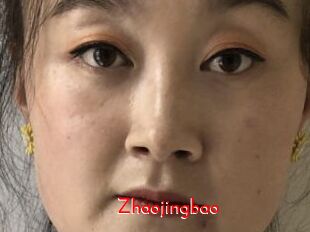 Zhaojingbao