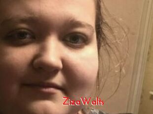 ZizaWalts