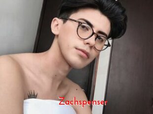 Zachspenser