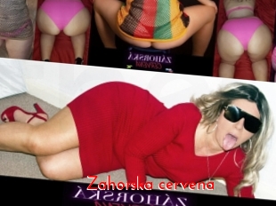 Zahorska_cervena