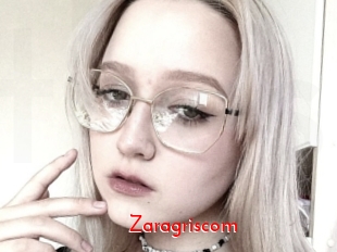 Zaragriscom