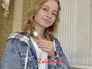 Zeldacatts