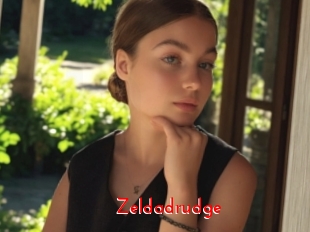 Zeldadrudge