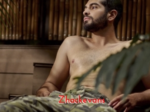 zhackevans The Sex