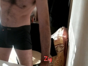 zig The Sex