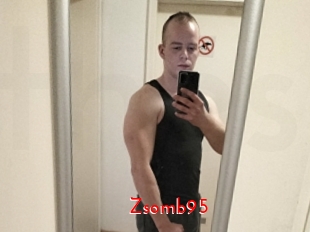 Zsomb95